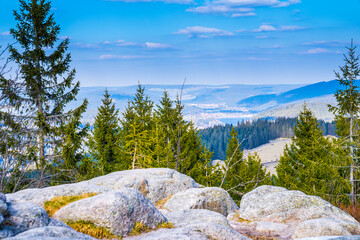 Germany, Panorama view dreiseenblick  above schwarzwald nature landscape, tree tops from mountain feldberg into titisee neustadt city and lake water - obrazy, fototapety, plakaty