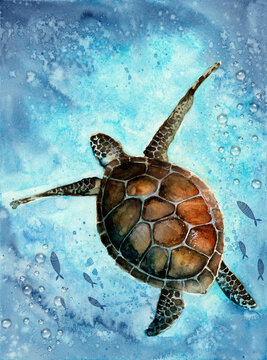 Watercolor illustration of a colorful sea turtle swimming in the vivid turquoise sea