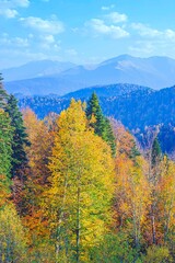 Autumn in the mountains