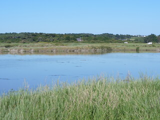 A small lake in the salt marshes in the west of France. June 2021, Guérande.