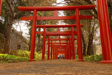 鳥居, 建築, 日本, 坂道, 神社