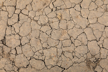 Abstract texture of cracking soil ground of drougt area in forest.