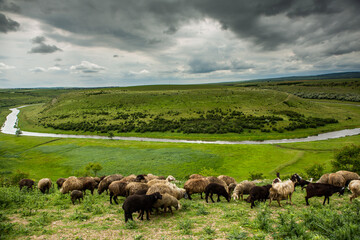 Beautiful rural landscape in Europe, Amazing nature in summer with green fields and blue sky.