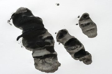 black ink blobs (still wet) on white paper