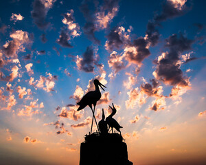 Silhouette landscape of stork family, dramatic blue sky in the background, copy space.