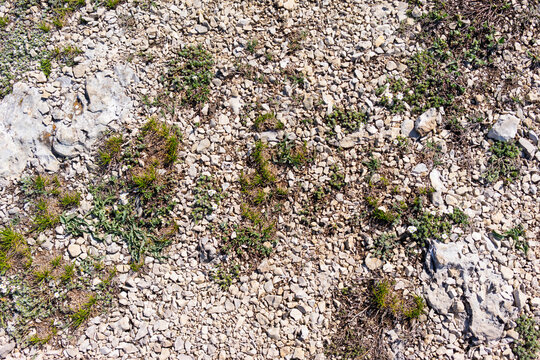 Ground with pebbels and grass. 