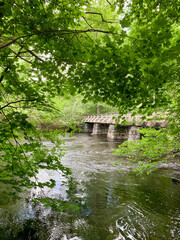 River, lush green trees and stone bridge behind the foliage. Vertical nature photography taken in Sweden in summer time. 