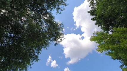 blue sky, clouds and trees