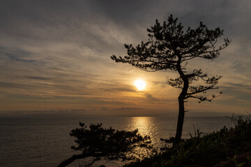 Fototapeta na wymiar 横須賀市荒崎海岸から富士山に沈む夕日