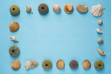 Summer time concept with sea shells  on a blue wooden background