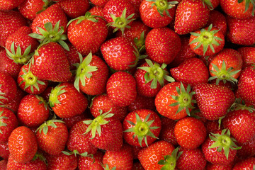 Whole fresh red strawberries close up full frame  