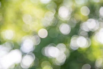 Green bekeh abstract nature backgrounds.