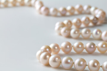 Pink pearl necklace isolated on white with copy space -  pearl bead strand