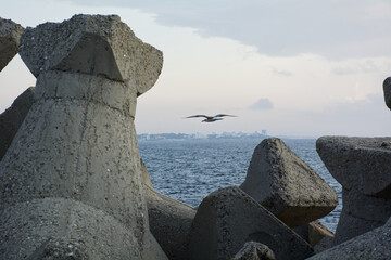 rocks on the beach