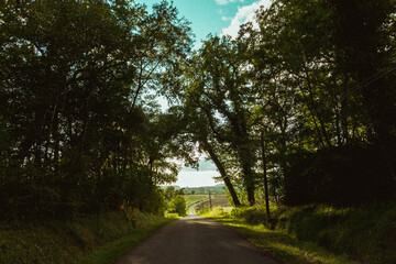 Carretera en verano