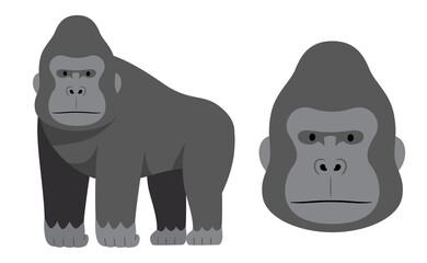 ゴリラとゴリラの顔のイラスト素材 © HARAHi