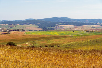 Fototapeta premium Italy Tuscany trekking along the Val d'Orcia, view of the panorama and San Quirico d'Orcia.
