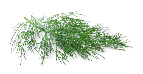 Sprigs of fresh dill isolated on white