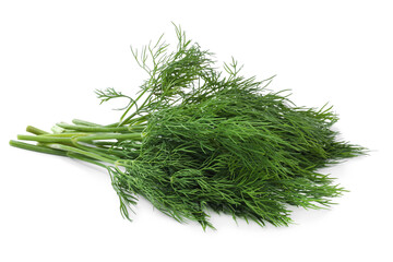 Bunch of fresh dill isolated on white