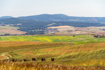 Fototapeta na wymiar Italy Tuscany trekking along the Val d'Orcia, view of the panorama and San Quirico d'Orcia.