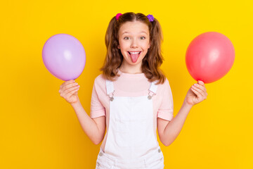 Fototapeta premium Photo portrait schoolgirl with tails showing tongue keeping air balloons isolated vivid yellow color background