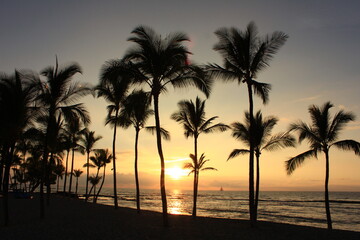 Obraz na płótnie Canvas ハワイ島（ビッグアイランド）。オレンジに染まる夕暮れの空と海。ヤシの木の間に沈む夕日。