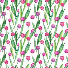 Seamless floral pattern with pink tulips. Watercolor flowers on white background