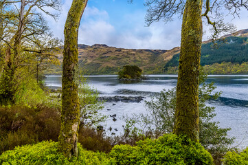 A view framed by trees out into Loch Lomond in Scotland on a summers day
