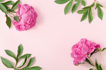 Top view of pink peony flowers and green leaves on a pastel pink background. Creative nature layout. Minimal spring or summer garden concept. Border arrangement. Copy space. Flat lay.