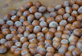 Group of hazelnuts