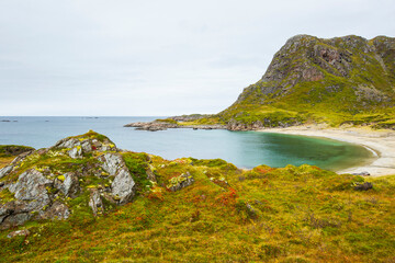 Fototapeta na wymiar Autumn landscape and beach in Lofoten Islands, Northern Norway