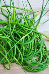 Bunches of freshly picked green garlic scape stems