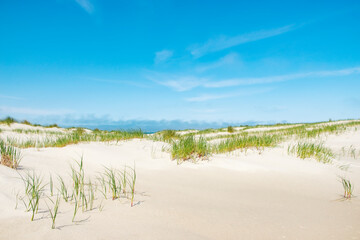 Sand dunes at the beach and helmgrass on Vlieland island in the Netherlands