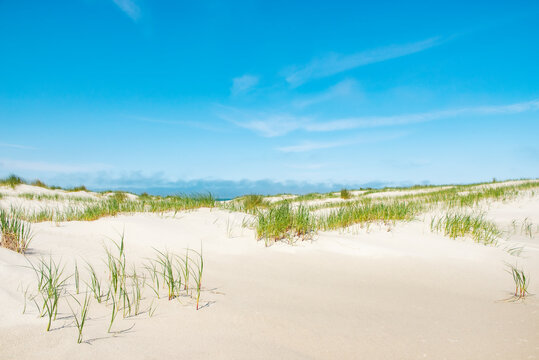 Sand dunes at the beach and helmgrass on Vlieland island in the Netherlands © Ron van der Stappen