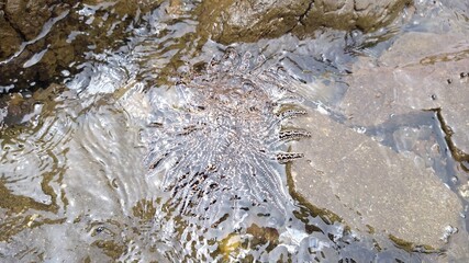 Playa Áncash - Huarmey 