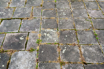 Background of old paving slabs with sprouted grass between it