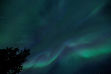 Northern lights in Kiruna, Lapland, Northern Sweden