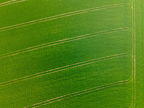 Aerial view of tractor tracks in green agriculture field