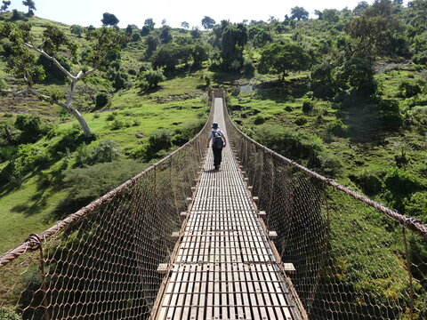 Alata Bilder Durchsuchen 1,852 Archivfotos, und Videos