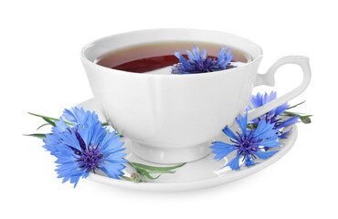 Cornflower tea and fresh flowers on white background