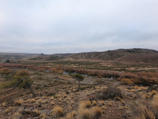 Rural landscape. View of the yellow meadow and hills in an autumn early morning. Beautiful autumn colors and texture in the plants foliage. 
