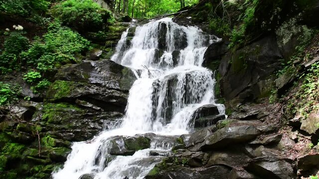 Waterfall Shypit in the Carpathian Mountains, near village Pylypets, Transcarpathian