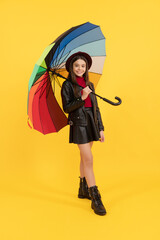 autumn season. rainy weather forecast. back to school. fall fashion accessory