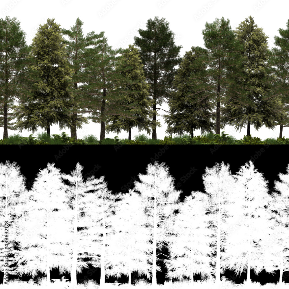 Wall mural 3d render of horizon pine trees line in 4k available for loop. tileable. for create infinite nature 
