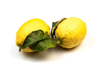 close-up of Amalfi lemons, sfusato amalfitano, on white background - obrazy, fototapety, plakaty