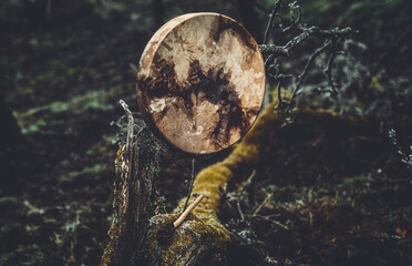 Obraz premium shaman drum in landscape on moss wood.