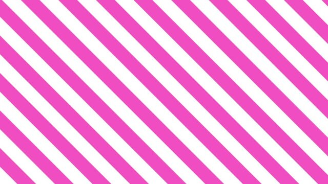 pink stripe lines loop background