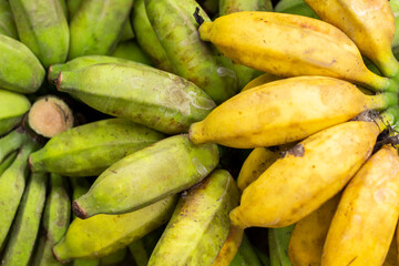 Green and Yellow Bananas Background texture