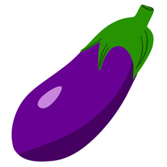 Fresh green zucchini. Hand-drown vector eggplant illustration. Farm vegatarian ingredient for salad. Organic and diet food.