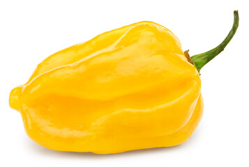 Habanero chili yellow hot pepper isolated on white background. clipping path